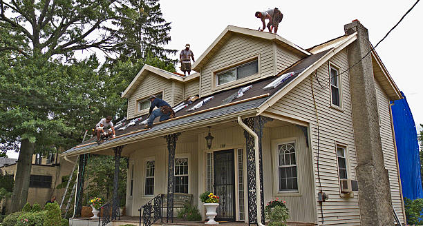 Best Shingle Roofing Installation  in Grenada, MS
