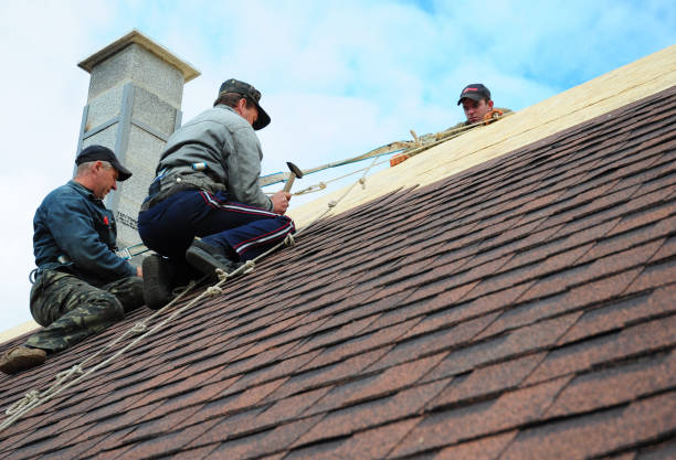 Best Residential Roofing Contractor  in Grenada, MS